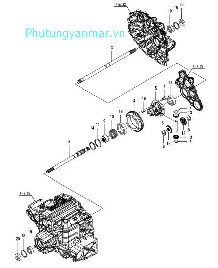 Truyền động vi sai trước